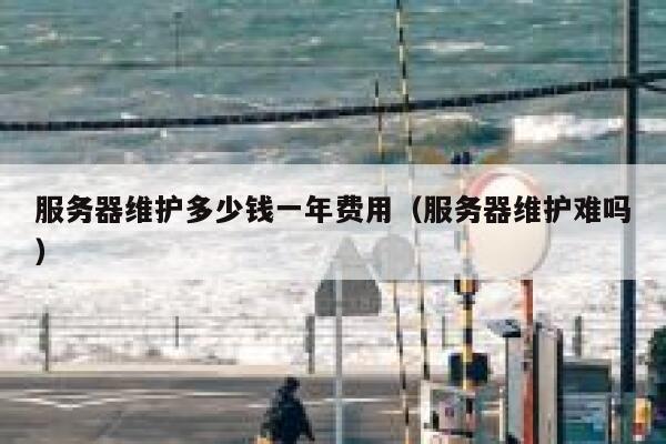 服务器维护多少钱一年费用（服务器维护难吗） 第1张