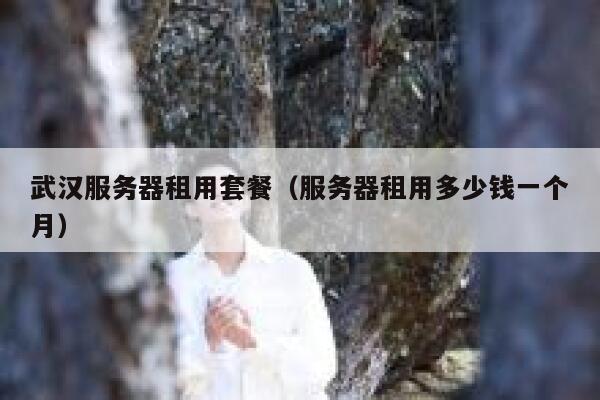 武汉服务器租用套餐（服务器租用多少钱一个月） 第1张