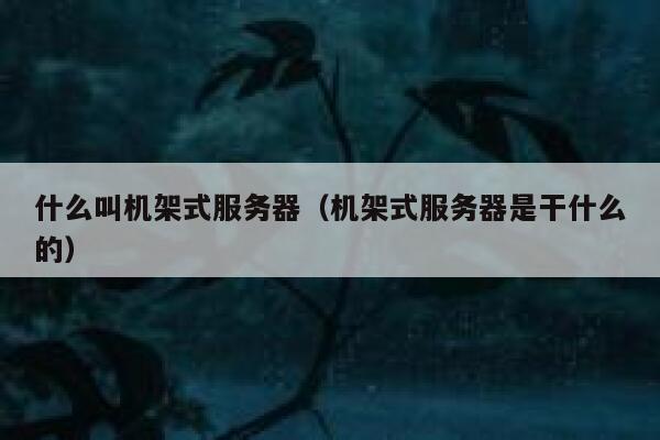 什么叫机架式服务器(机架式服务器是干什么的) 第1张 什么叫机架式服务器(机架式服务器是干什么的) 第1张