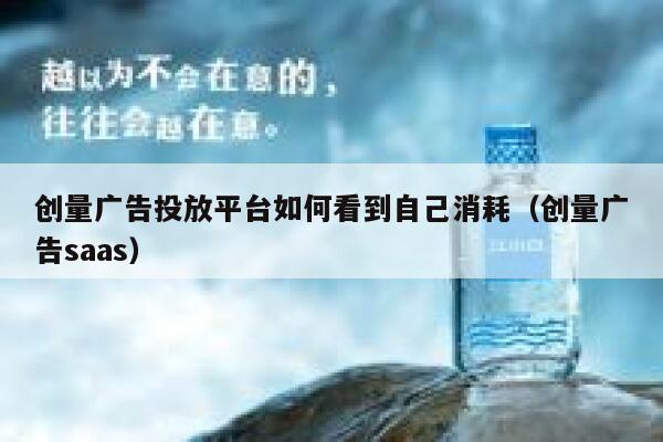 创量广告投放平台如何看到自己消耗(创量广告saas) 第1张 创量广告投放平台如何看到自己消耗(创量广告saas) 第1张