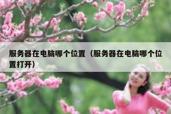 服务器在电脑哪个位置（服务器在电脑哪个位置打开） 第1张