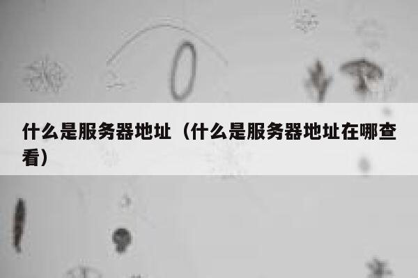 什么是服务器地址(什么是服务器地址在哪查看) 第1张 什么是服务器地址(什么是服务器地址在哪查看) 第1张