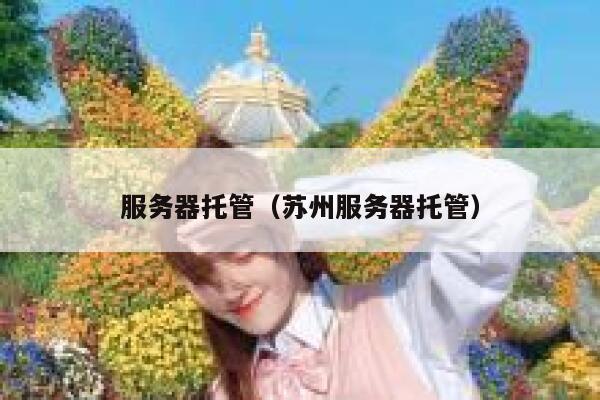 服务器托管（苏州服务器托管） 第1张