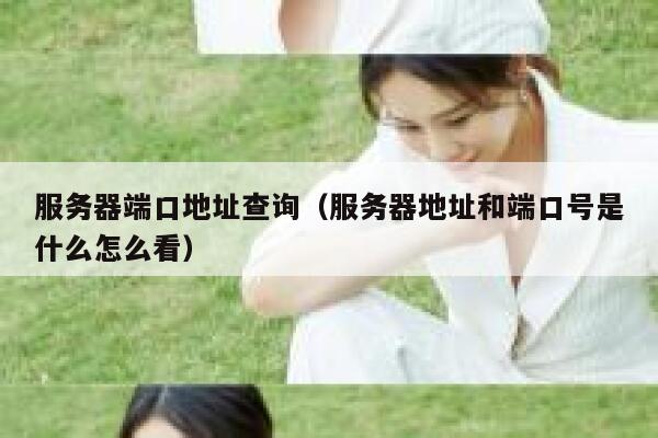 服务器端口地址查询（服务器地址和端口号是什么怎么看） 第1张