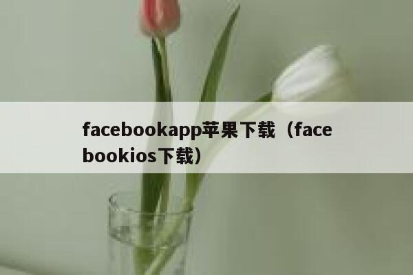 facebookapp苹果下载（facebookios下载） 第1张
