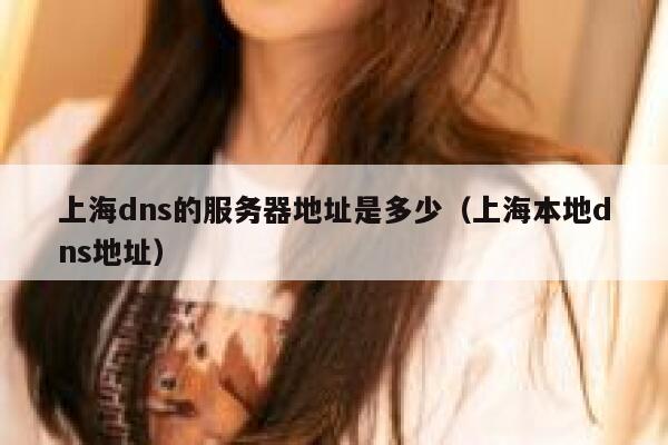 上海dns的服务器地址是多少（上海本地dns地址） 第1张