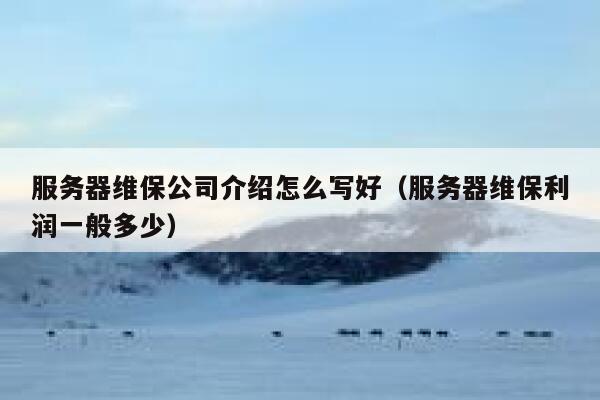 服务器维保公司介绍怎么写好（服务器维保利润一般多少） 第1张
