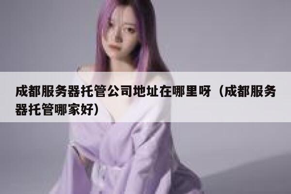 成都服务器托管公司地址在哪里呀（成都服务器托管哪家好） 第1张