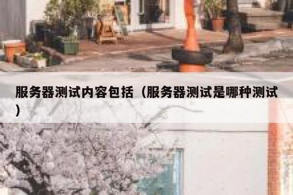 服务器测试内容包括（服务器测试是哪种测试） 第1张