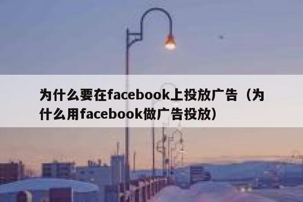 为什么要在facebook上投放广告（为什么用facebook做广告投放） 第1张