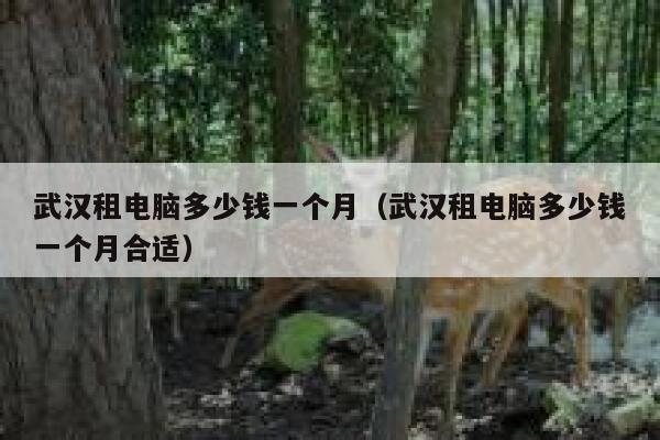 武汉租电脑多少钱一个月(武汉租电脑多少钱一个月合适) 第1张 武汉租电脑多少钱一个月(武汉租电脑多少钱一个月合适) 第1张
