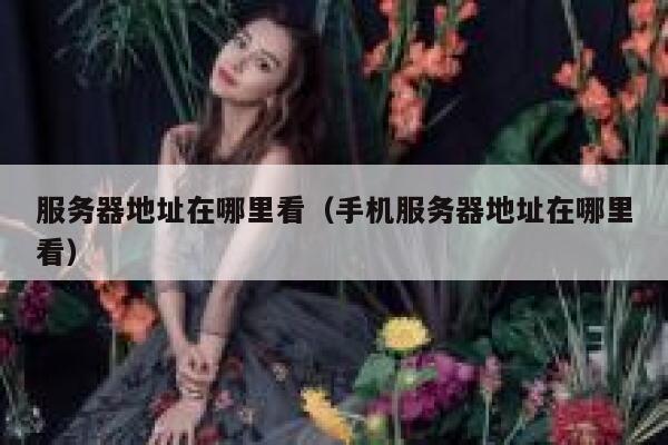 服务器地址在哪里看(手机服务器地址在哪里看) 第1张 服务器地址在哪里看(手机服务器地址在哪里看) 第1张
