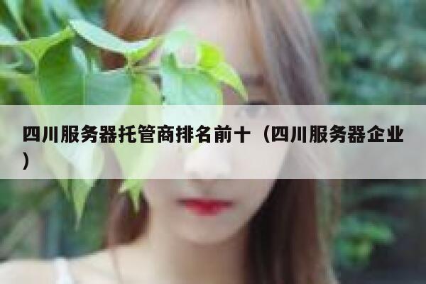 四川服务器托管商排名前十（四川服务器企业） 第1张