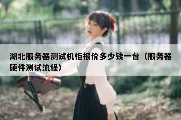 湖北服务器测试机柜报价多少钱一台（服务器硬件测试流程） 第1张