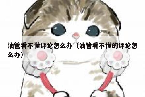 油管看不懂评论怎么办（油管看不懂的评论怎么办） 第1张