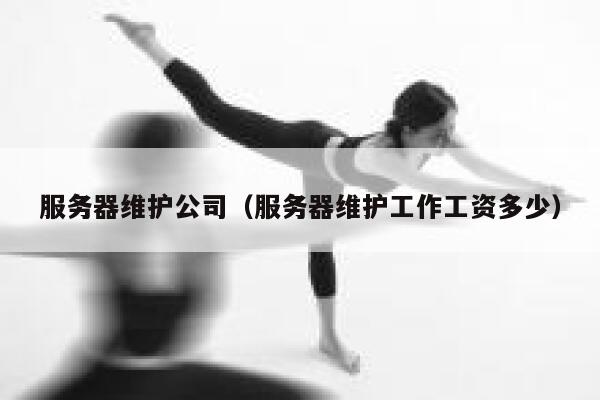 服务器维护公司(服务器维护工作工资多少) 第1张 服务器维护公司(服务器维护工作工资多少) 第1张