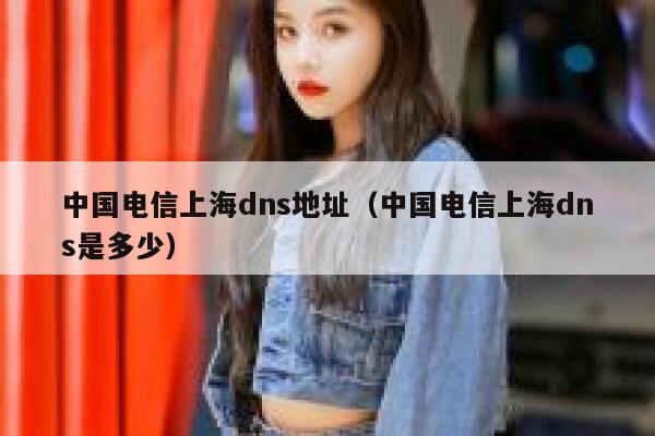 中国电信上海dns地址（中国电信上海dns是多少） 第1张