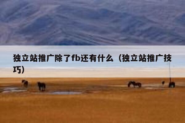 独立站推广除了fb还有什么（独立站推广技巧） 第1张