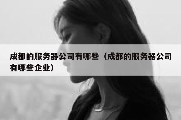 成都的服务器公司有哪些（成都的服务器公司有哪些企业） 第1张