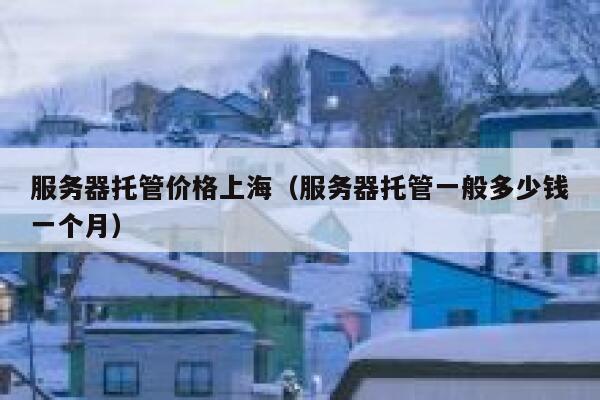 服务器托管价格上海(服务器托管一般多少钱一个月) 第1张 服务器托管价格上海(服务器托管一般多少钱一个月) 第1张