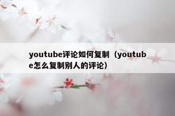 youtube评论如何复制（youtube怎么复制别人的评论） 第1张