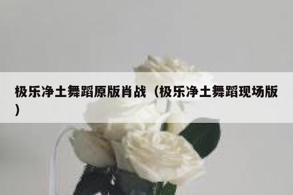 极乐净土舞蹈原版肖战（极乐净土舞蹈现场版） 第1张
