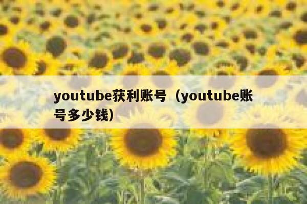 youtube获利账号（youtube账号多少钱） 第1张