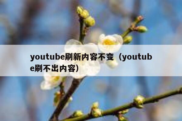 youtube刷新内容不变（youtube刷不出内容） 第1张