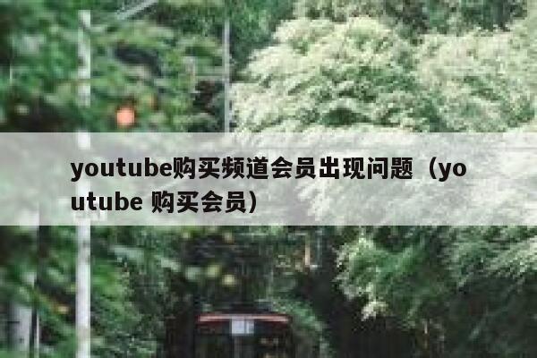 youtube购买频道会员出现问题（youtube 购买会员） 第1张