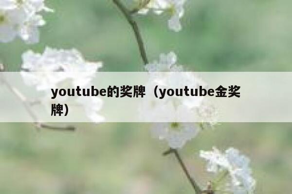 youtube的奖牌(youtube金奖牌) 第1张 youtube的奖牌(youtube金奖牌) 第1张