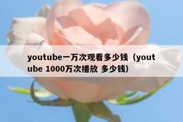 youtube一万次观看多少钱（youtube 1000万次播放 多少钱） 第1张