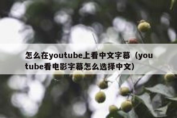 怎么在youtube上看中文字幕（youtube看电影字幕怎么选择中文） 第1张