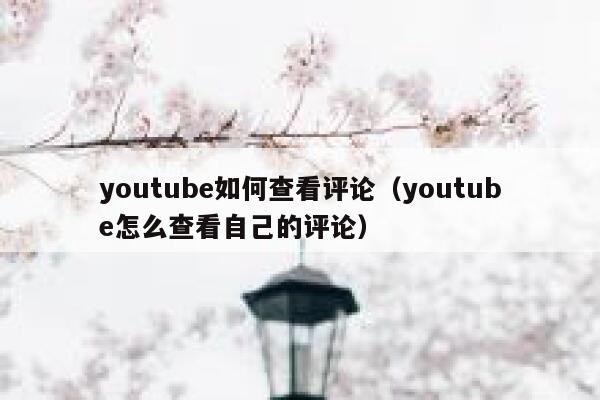 youtube如何查看评论（youtube怎么查看自己的评论） 第1张