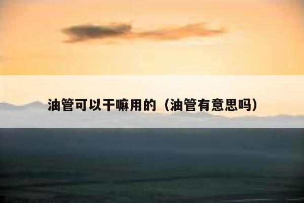 油管可以干嘛用的（油管有意思吗） 第1张