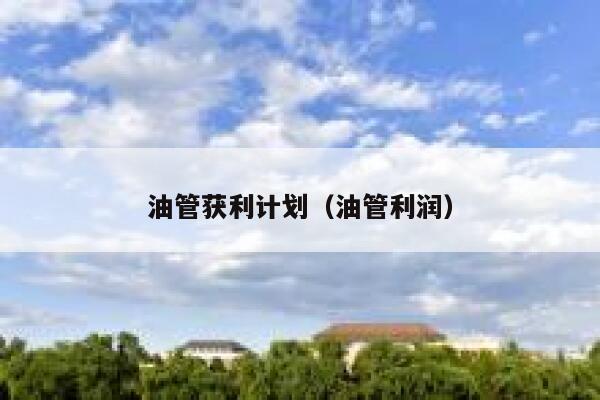 油管获利计划（油管利润） 第1张