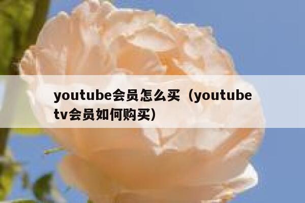 youtube会员怎么买（youtubetv会员如何购买） 第1张
