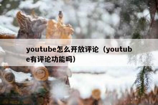 youtube怎么开放评论（youtube有评论功能吗） 第1张