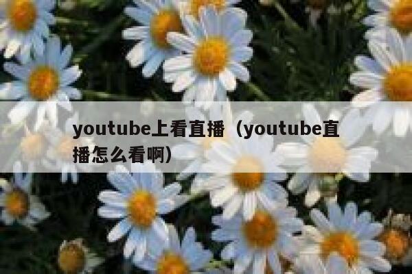 youtube上看直播(youtube直播怎么看啊) 第1张 youtube上看直播(youtube直播怎么看啊) 第1张