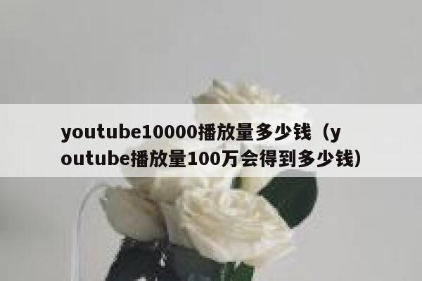 youtube10000播放量多少钱(youtube播放量100万会得到多少钱) 第1张 youtube10000播放量多少钱(youtube播放量100万会得到多少钱) 第1张