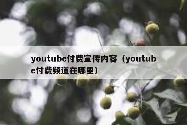 youtube付费宣传内容（youtube付费频道在哪里） 第1张