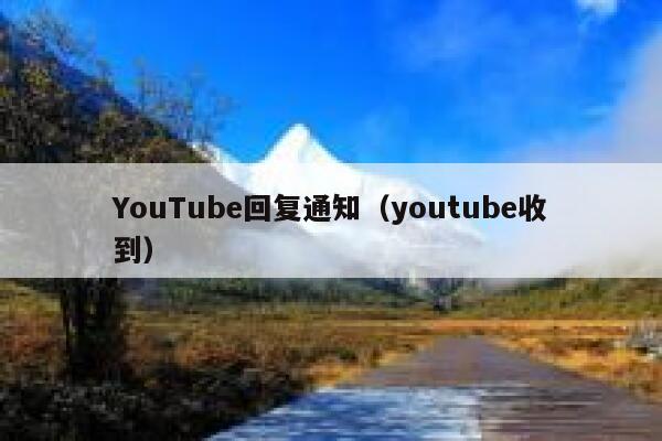 YouTube回复通知（youtube收到） 第1张