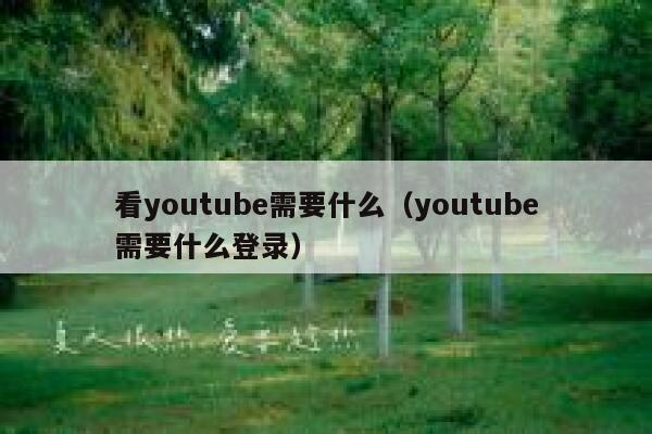 看youtube需要什么（youtube需要什么登录） 第1张