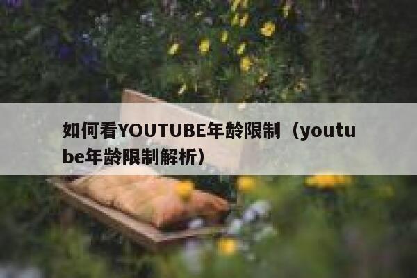 如何看YOUTUBE年龄限制(youtube年龄限制解析) 第1张 如何看YOUTUBE年龄限制(youtube年龄限制解析) 第1张