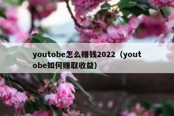 youtobe怎么赚钱2022（youtobe如何赚取收益） 第1张