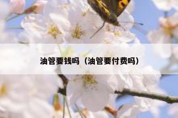 油管要钱吗（油管要付费吗） 第1张
