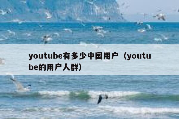 youtube有多少中国用户（youtube的用户人群） 第1张