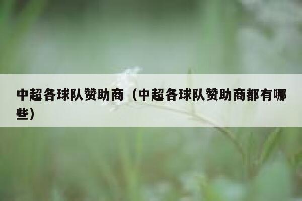 中超各球队赞助商（中超各球队赞助商都有哪些） 第1张