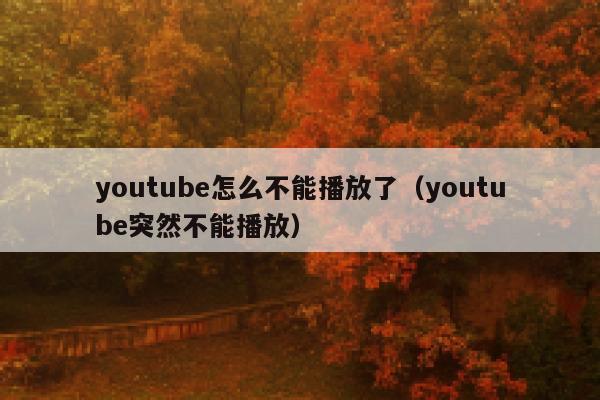 youtube怎么不能播放了（youtube突然不能播放） 第1张