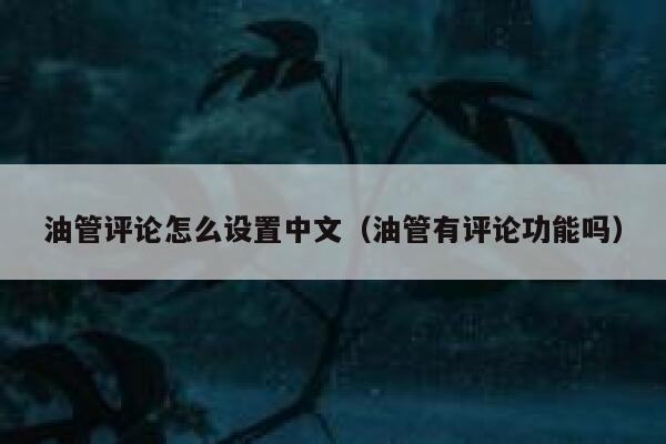 油管评论怎么设置中文(油管有评论功能吗) 第1张 油管评论怎么设置中文(油管有评论功能吗) 第1张