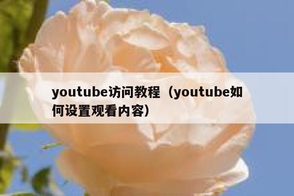 youtube访问教程（youtube如何设置观看内容） 第1张